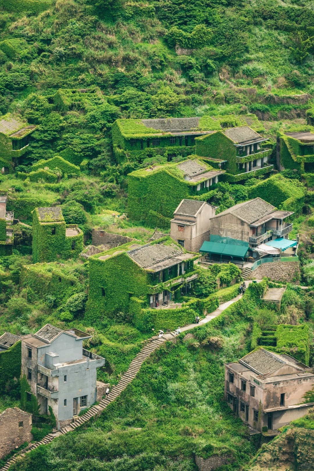 在浙江小岛上，我找到了遗失的“失落村庄”
